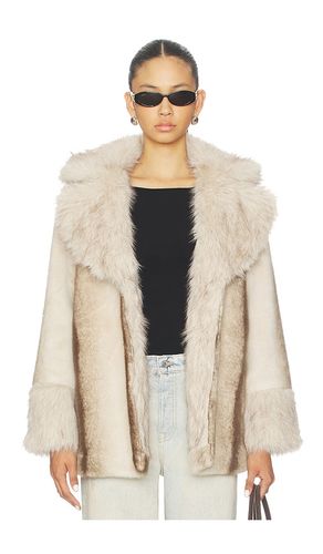MANTEAU CARMELINA en . Taille L. Also en - Steve Madden - Modalova