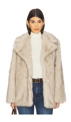 MANTEAU KINDRA en . Taille S. Also en XS, M, L - Steve Madden - Modalova