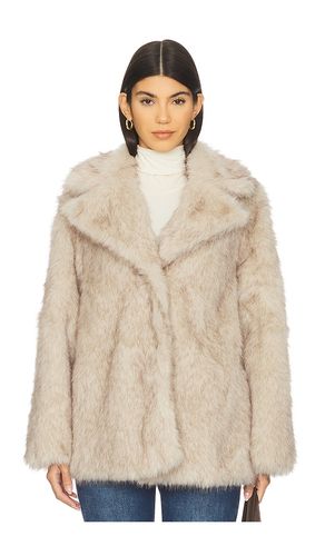 MANTEAU KINDRA en . Taille S. Also en XS, M, L - Steve Madden - Modalova