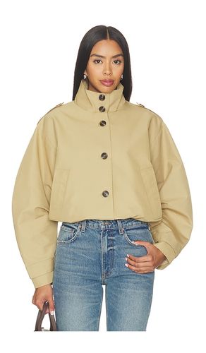 BLOUSON FAYDEN en . Taille M. Also en S - Steve Madden - Modalova