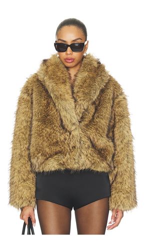 MANTEAU ROE en . Taille L. Also en M, S, XL, XS - Steve Madden - Modalova