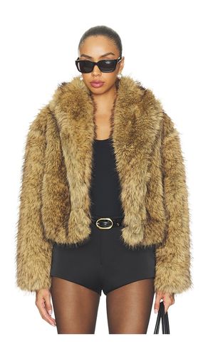 MANTEAU ROE en . Taille L. Also en M, S, XL, XS - Steve Madden - Modalova