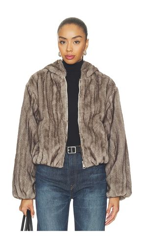 BLOUSON CARMILLA en . Taille L. Also en M, S, XL, XS - Steve Madden - Modalova