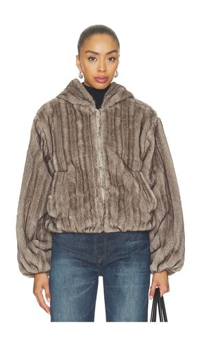 BLOUSON CARMILLA en . Taille L. Also en M, S, XL, XS - Steve Madden - Modalova