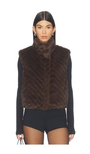 GILET LUXIE en . Taille XS. Also en S, M, L, XL - Steve Madden - Modalova