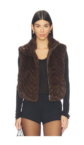 GILET LUXIE en . Taille L. Also en M, S, XL, XS - Steve Madden - Modalova