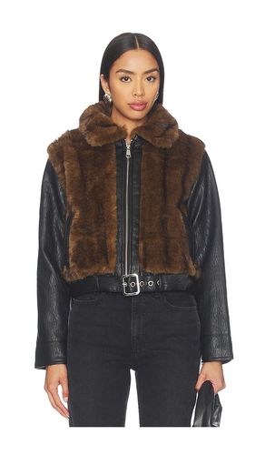 BLOUSON RYLAND en . Taille L. Also en M, S, XL, XS - Steve Madden - Modalova