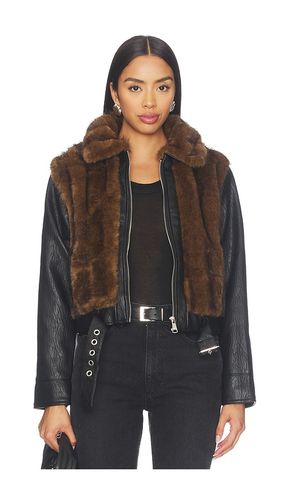 BLOUSON RYLAND en . Taille L. Also en M, S, XL, XS - Steve Madden - Modalova