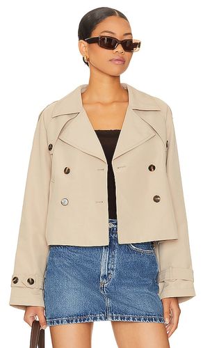 BLOUSON SIRUS en . Taille XS. Also en M, L, XL - Steve Madden - Modalova