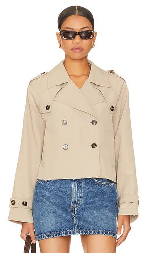 BLOUSON SIRUS en . Taille L. Also en M, XL - Steve Madden - Modalova