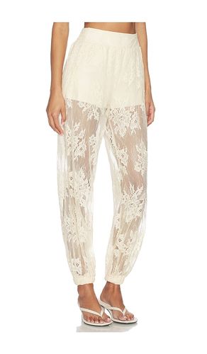 PANTALON FAYA en . Taille L. Also en M, S, XL - Steve Madden - Modalova