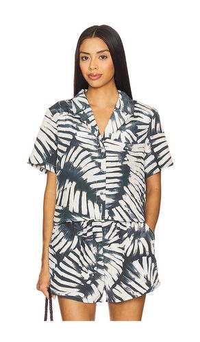TOP À MANCHES COURTES SANDRA in . Size M, S, XL, XS - Steve Madden - Modalova