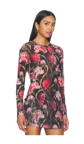 Sandy Knit Top en . Taille S. Also en XS, M, L, XL - Steve Madden - Modalova