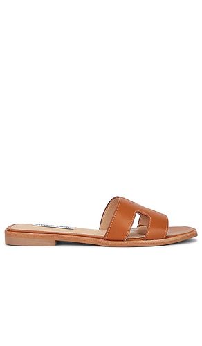 NU-PIED HADYN en . Taille 6. Also en 5, 5.5, 6.5, 7.5, 8, 8.5, 9, 9.5 - Steve Madden - Modalova