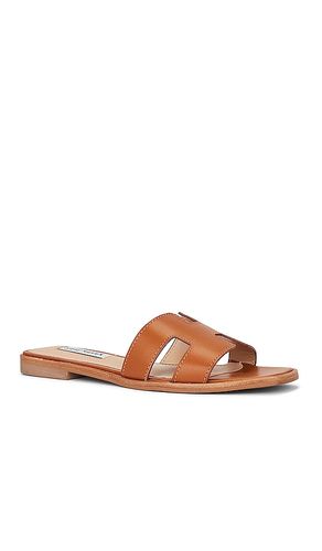 NU-PIED HADYN en . Taille 6. Also en 6.5, 7.5, 8, 8.5, 9, 9.5, 5.5, 5 - Steve Madden - Modalova