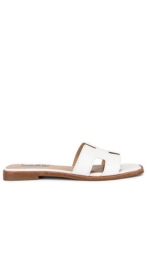 SANDALES HADYN en . Taille 5.5. Also en 6, 6.5, 7, 7.5, 8, 8.5, 9, 9.5 - Steve Madden - Modalova