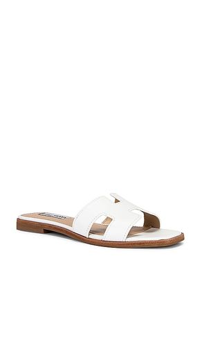 SANDALES HADYN en . Taille 10. Also en 6, 6.5, 7, 7.5, 8, 8.5, 9, 9.5 - Steve Madden - Modalova