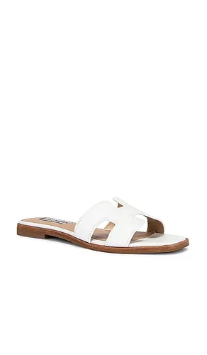 SANDALES HADYN en . Taille 5.5. Also en 6, 6.5, 7, 7.5, 8, 8.5, 9 - Steve Madden - Modalova