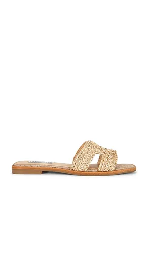 SANDALES HADYN en . Taille 10. Also en 6.5, 7, 7.5, 9, 9.5 - Steve Madden - Modalova