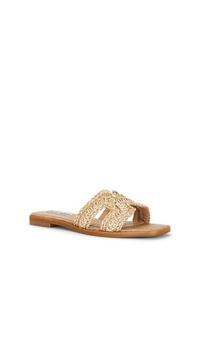 SANDALES HADYN en . Taille 10. Also en 6, 6.5, 7, 7.5, 8, 8.5, 9, 9.5 - Steve Madden - Modalova