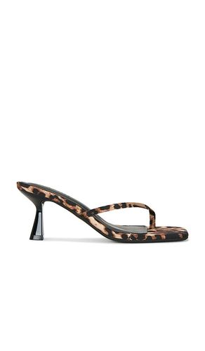 SANDALES ALLIES en . Taille 6. Also en 5.5 - Steve Madden - Modalova