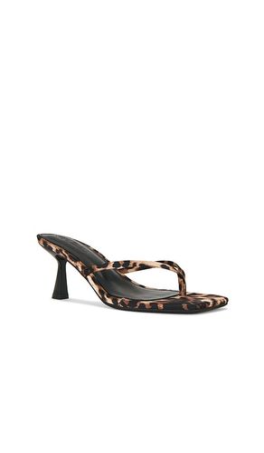 SANDALES ALLIES en . Taille 6.5. Also en 5.5 - Steve Madden - Modalova