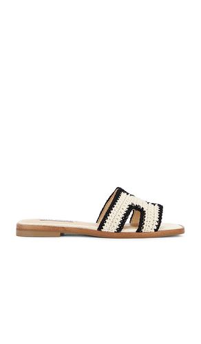 SANDALES HADYN-M en . Taille 6. Also en 8, 8.5, 9.5 - Steve Madden - Modalova