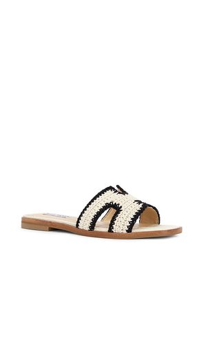 SANDALES HADYN-M en . Taille 10. Also en 6, 7, 8.5, 9.5 - Steve Madden - Modalova