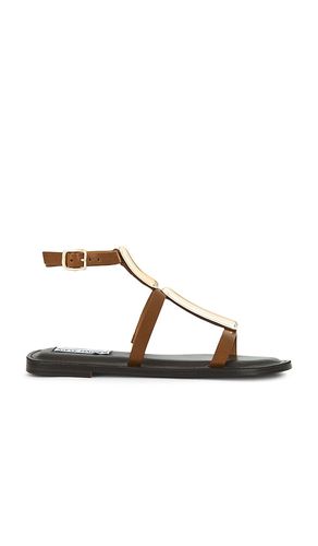 SANDALES ALMA en . Taille 7.5. Also en 9 - Steve Madden - Modalova