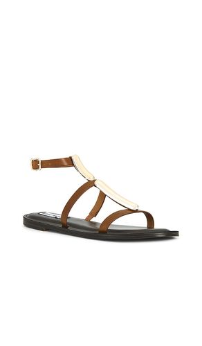 SANDALES ALMA en . Taille 7.5. Also en - Steve Madden - Modalova