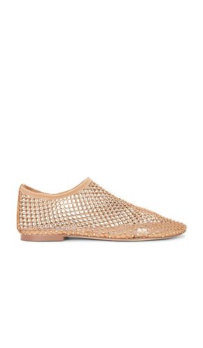 PLAT MINO en . Taille 11. Also en 6, 6.5, 7, 7.5, 8, 8.5, 9, 9.5 - Steve Madden - Modalova