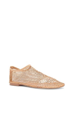 PLAT MINO en . Taille 11. Also en 6, 6.5, 7, 7.5, 8, 8.5, 9, 9.5 - Steve Madden - Modalova