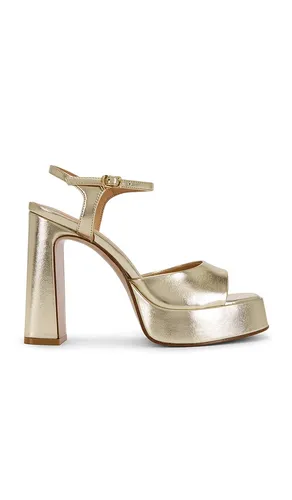SANDALES LIANDRA en . Taille 10. Also en 5, 5.5, 8, 8.5, 9, 9.5 - Steve Madden - Modalova