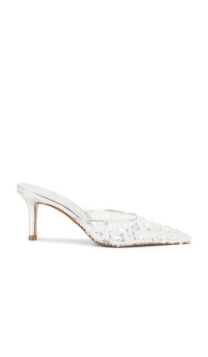 ESCARPIN ALEXI en , . Taille 6. Also en 7.5, 8 - Steve Madden - Modalova