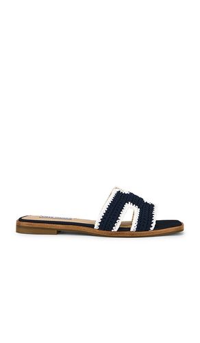 SANDALES HADYN-M en . Taille 6. Also en 7.5, 8.5 - Steve Madden - Modalova