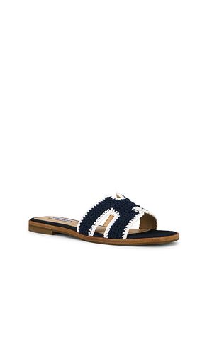 SANDALES HADYN-M en . Taille 6. Also en 7.5 - Steve Madden - Modalova