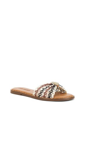 SANDALES DIPSY en . Taille 10. Also en 6, 6.5, 7, 7.5, 8, 8.5, 9, 9.5 - Steve Madden - Modalova