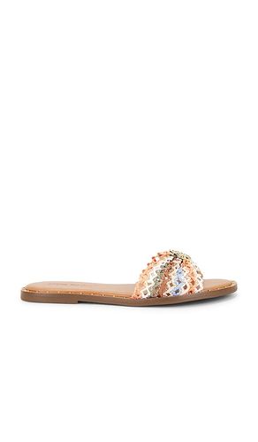 SANDALES DIPSY en . Taille 6. Also en 6.5, 7.5, 8, 8.5, 9, 9.5, 10 - Steve Madden - Modalova