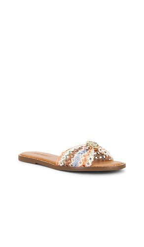 SANDALES DIPSY en . Taille 6. Also en 6.5, 7.5, 8, 8.5, 9, 9.5, 10 - Steve Madden - Modalova