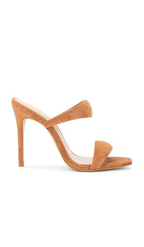 SANDALES SATURN en . Taille 7.5. Also en 8.5, 9, 9.5, 10 - Steve Madden - Modalova