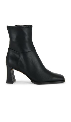 BOTTINES HARP en . Taille 10. Also en - Steve Madden - Modalova