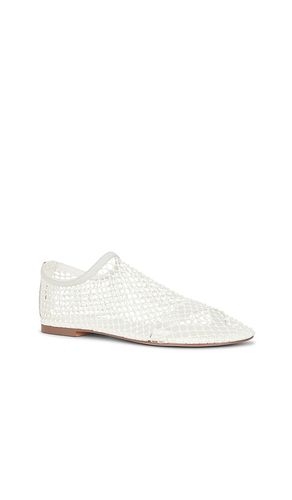 PLAT MINO en . Taille 10. Also en 6, 6.5, 7, 7.5, 8, 8.5, 9, 9.5 - Steve Madden - Modalova