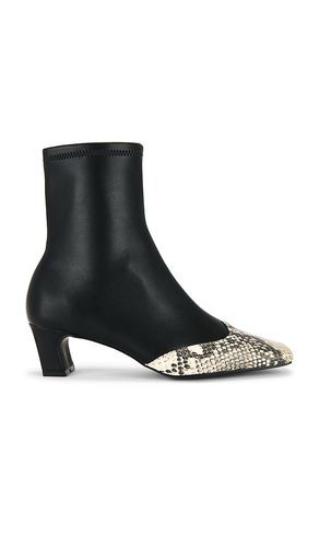 BOTTINES JETER-A en . Taille 6. Also en 9 - Steve Madden - Modalova