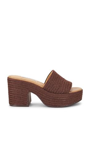 SANDALES TRIPPY en . Taille 7.5. Also en 8.5, 9 - Steve Madden - Modalova