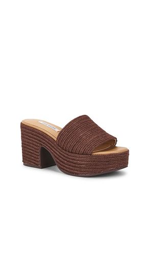 SANDALES TRIPPY en . Taille 7.5. Also en 8.5, 9 - Steve Madden - Modalova