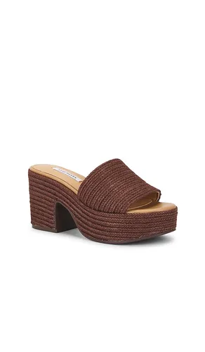 SANDALES TRIPPY en . Taille 7.5. Also en 8, 8.5, 9 - Steve Madden - Modalova