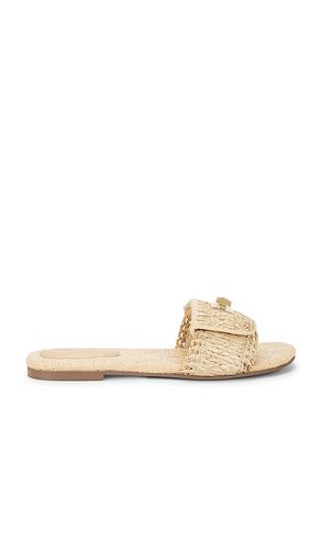 SANDALES MORELAND-R en . Taille 7. Also en - Steve Madden - Modalova