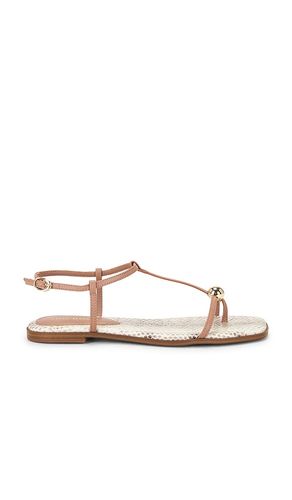 SANDALES RITZY en . Taille 6. Also en 6.5, 7.5, 8, 8.5, 9.5, 10 - Steve Madden - Modalova