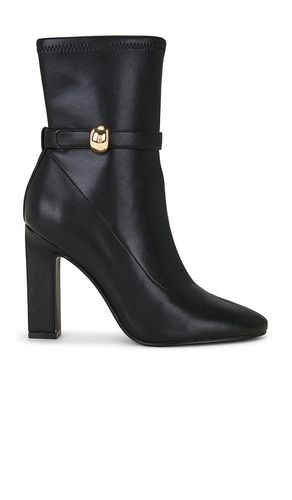 BOTTINES AROMA en . Taille 10. Also en 8.5, 9.5 - Steve Madden - Modalova