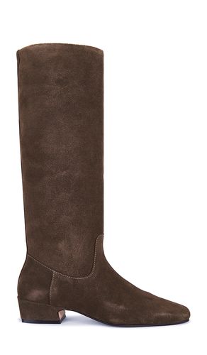 BOTTINES DANTELLE en . Taille 6. Also en 7.5 - Steve Madden - Modalova